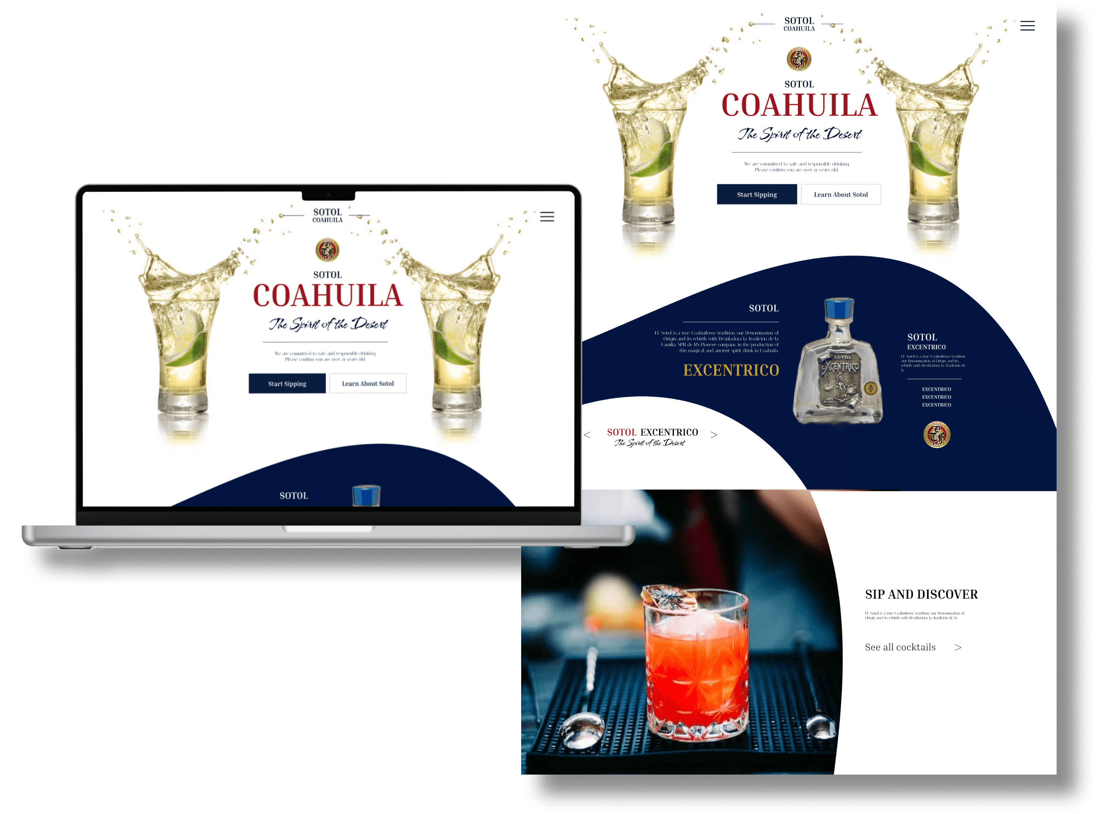 Sotol web design